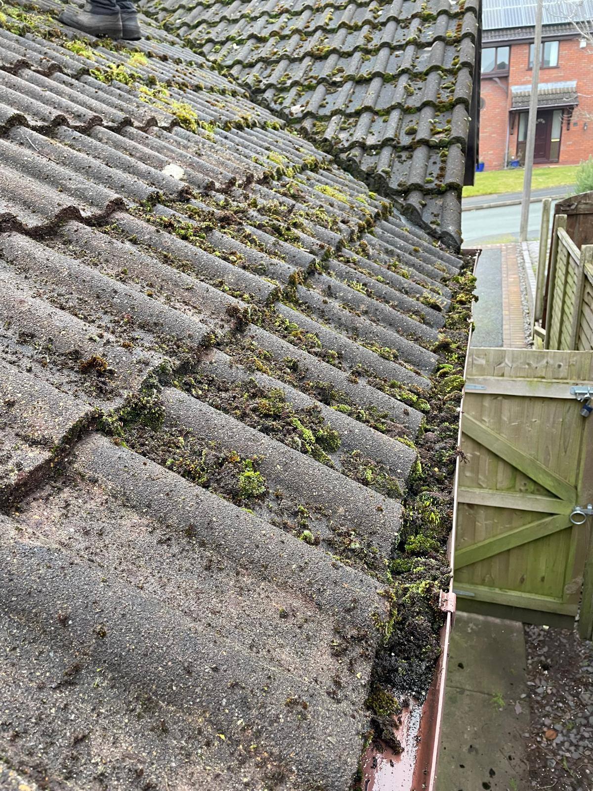 roof dirt and debris blocking guttering