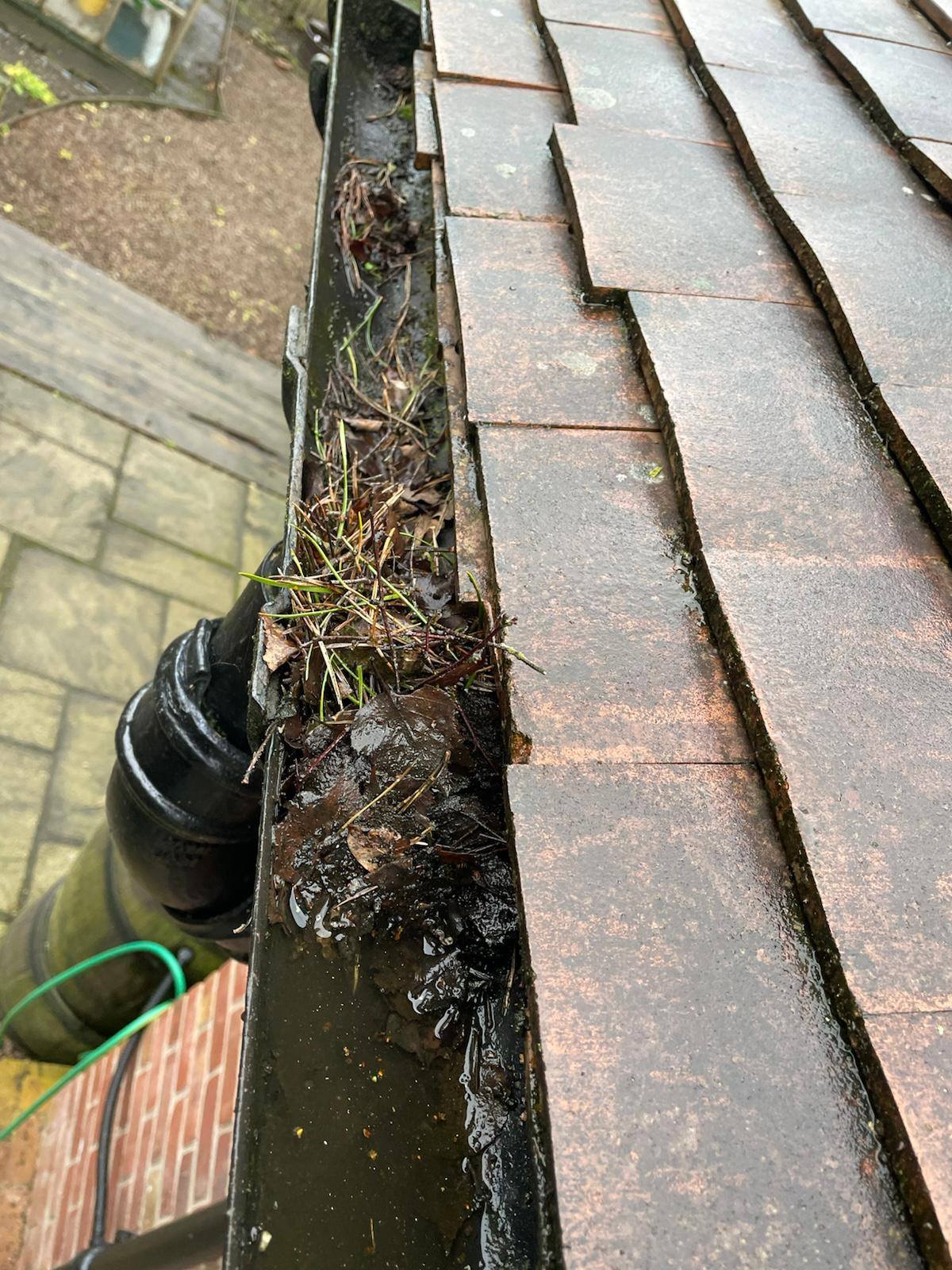 guttering filled with dirt debris