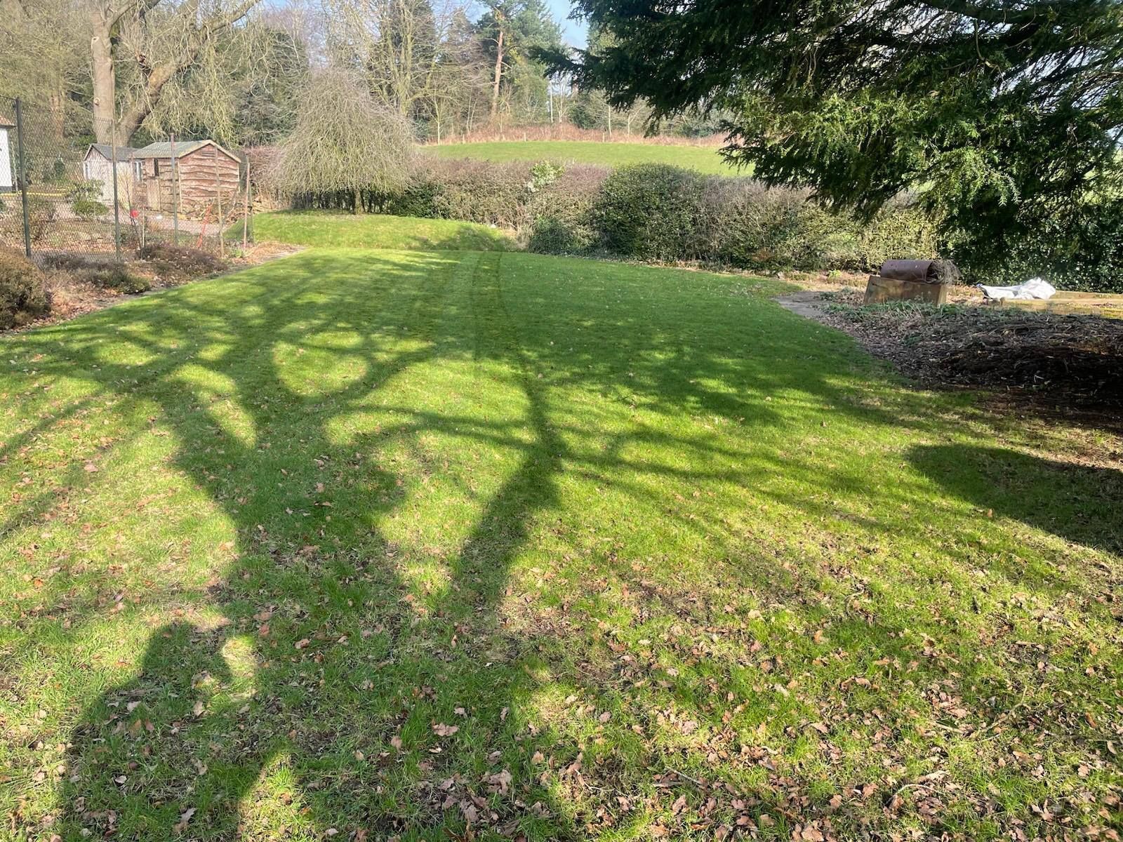 grass and tree shadow clean maintained green garden